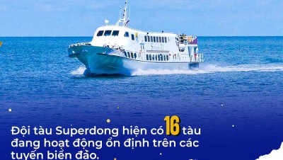 Đội tàu Superdong hiện có 16 tàu đang hoạt động