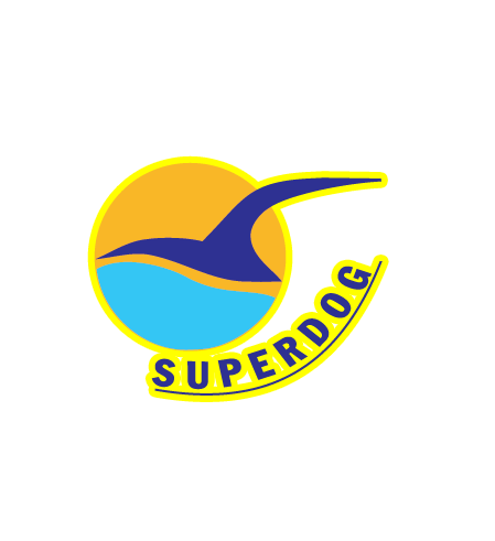 Đặt vé tàu cao tốc Superdong